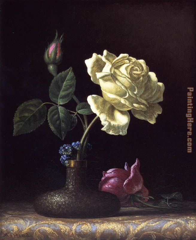 The White Rose painting - Martin Johnson Heade The White Rose art painting